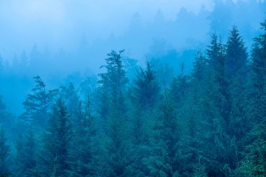 Sisli dağ manzarası