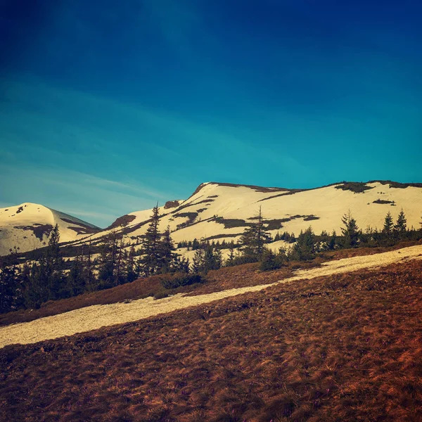 Karlı dağlar — Stok fotoğraf
