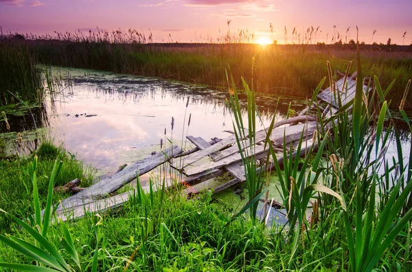 Alba estiva rurale — Foto Stock