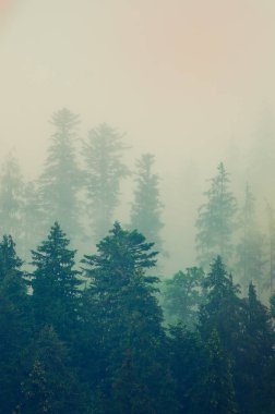 Sisli dağ manzarası