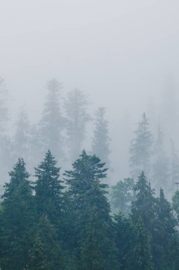 Sisli dağ manzarası