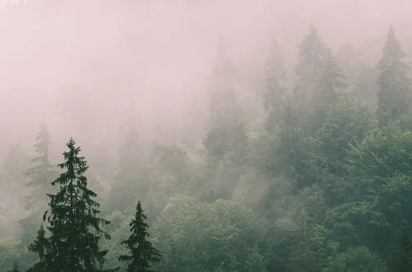 Nebelige Berglandschaft — Stockfoto