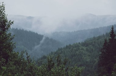 Sisli sabah manzarası