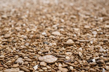 Deniz çakıl taşı arkaplanı