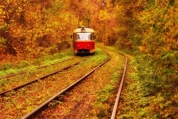 Vintage červená tramvaj — Stock fotografie