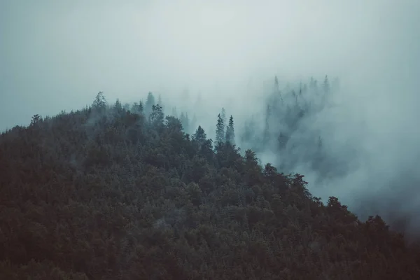 Misty paisaje de montaña — Foto de Stock