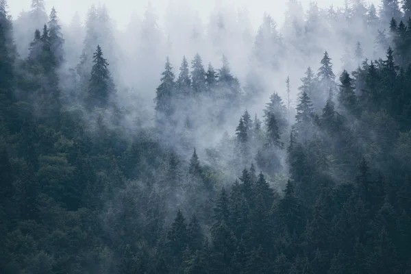 Paesaggio di montagna nebbioso — Foto Stock