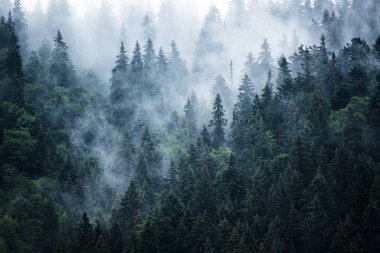 Sisli dağ manzarası