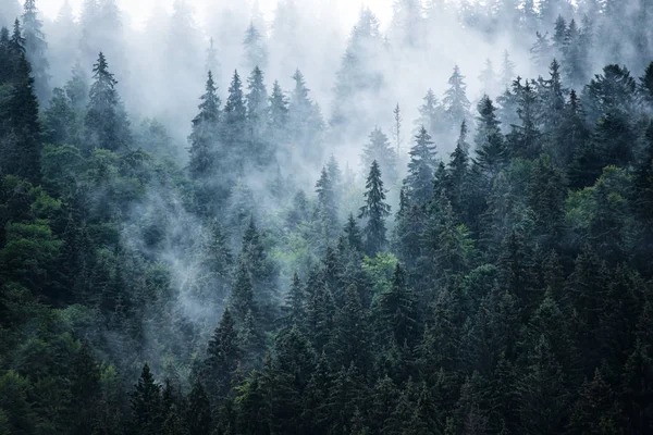 Dimmiga bergslandskap — Stockfoto