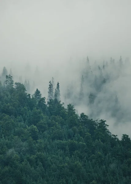 Paysage montagneux sinistre — Photo