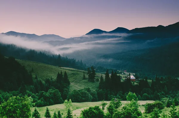 Paysage de montagne des Carpates — Photo