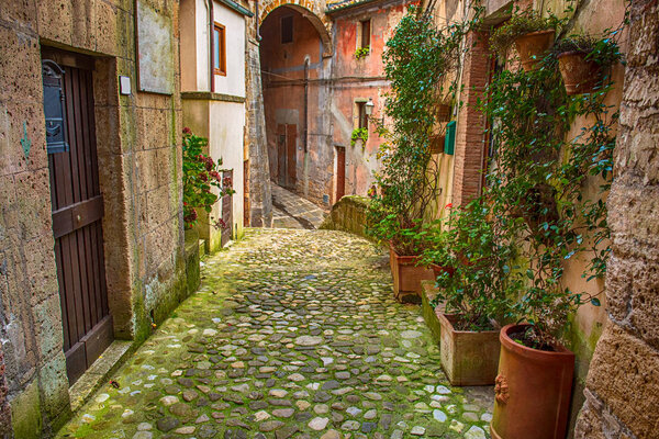 Narrow street of medieval ancient tuff city Sorano with green plants and cobblestone, travel Italy background