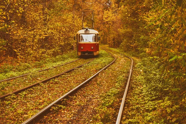 Tram rosso vintage — Foto Stock