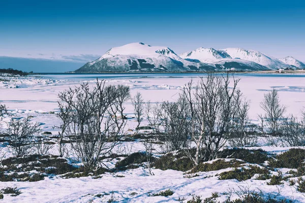 노르웨이의 겨울 풍경 — 스톡 사진