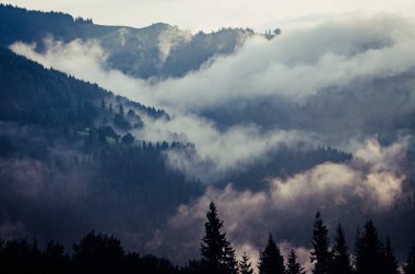 Sisli sabah manzarası