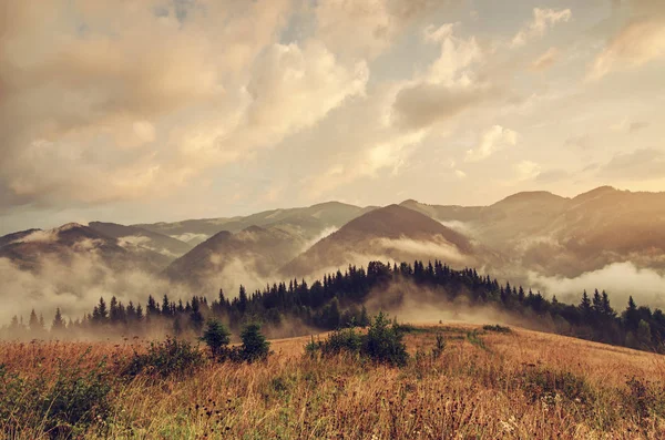 Foggy paesaggio mattutino — Foto Stock