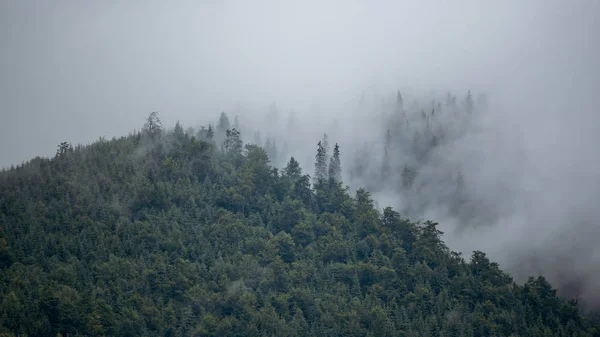Paesaggio di montagna nebbioso — Foto Stock
