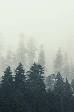 Sisli dağ manzarası