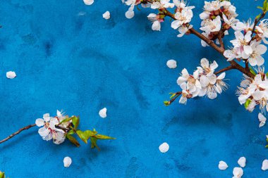 Grunge çiçek arkaplanı