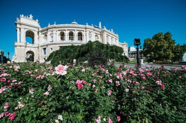 Odessa 'daki opera binası.