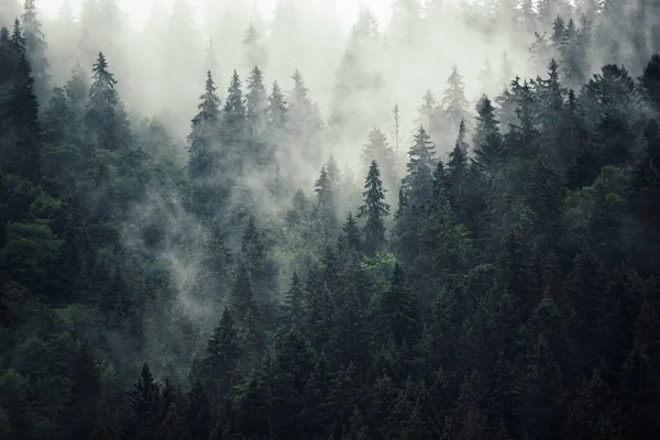 Mglisty krajobraz górski — Zdjęcie stockowe