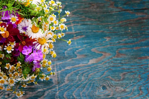 Yaz çiçekleri tasarımı — Stok fotoğraf