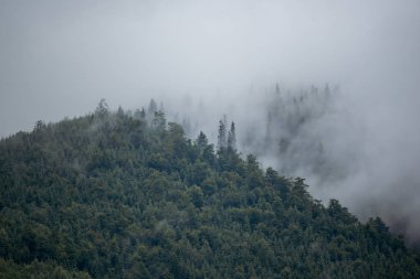 Sisli dağ manzarası