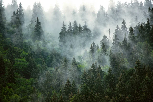 霧深い山の風景 — ストック写真