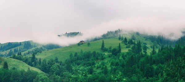 Yeşil bir dağ yamacında küçük bir ev — Stok fotoğraf