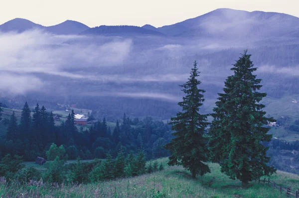 Berglandschap van de amazinf — Stockfoto