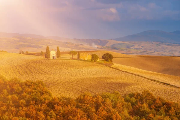 Campos ondulados en Toscana —  Fotos de Stock