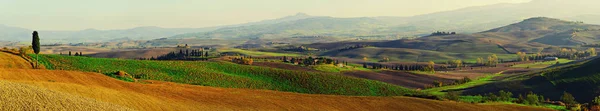 Campos ondulados em Toscana — Fotografia de Stock