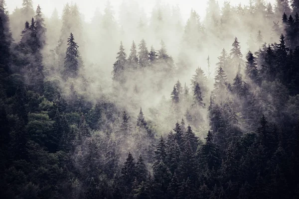 Misty berglandschap — Stockfoto