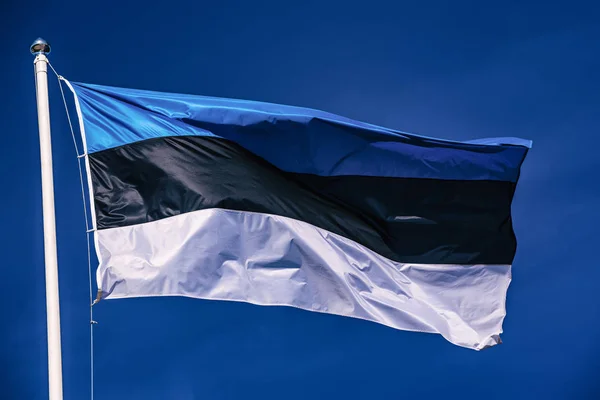 Прапор естонії: картинки, стокові Прапор естонії фотографії, зображення |  Скачати з Depositphotos