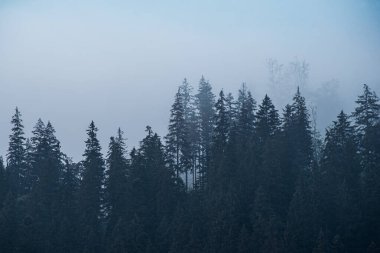 Sisli dağ manzarası