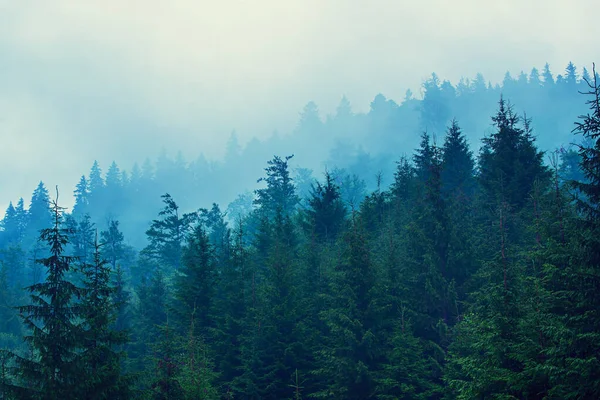 Paesaggio di montagna nebbioso — Foto Stock