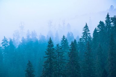 Sisli dağ manzarası