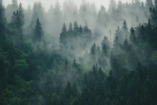 Misty paisaje de montaña — Foto de Stock