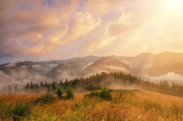 Foggy morgon landskap — Stockfoto