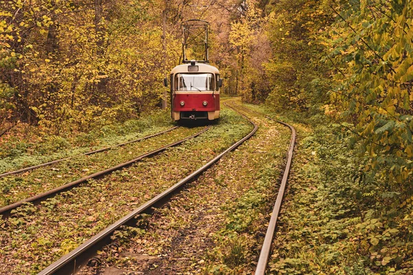 Вінтаж червоний трамвай — стокове фото