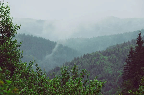 Mlhavá ranní krajina — Stock fotografie