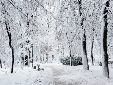 Kış Şehir Parkı