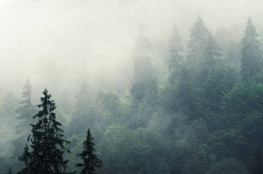 Sisli dağ manzarası