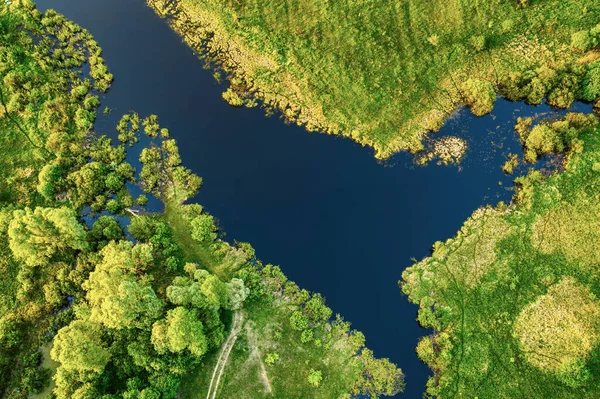 초원에 있는 호수 — 스톡 사진