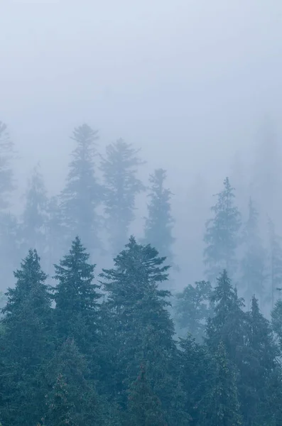 Paesaggio di montagna nebbioso — Foto Stock