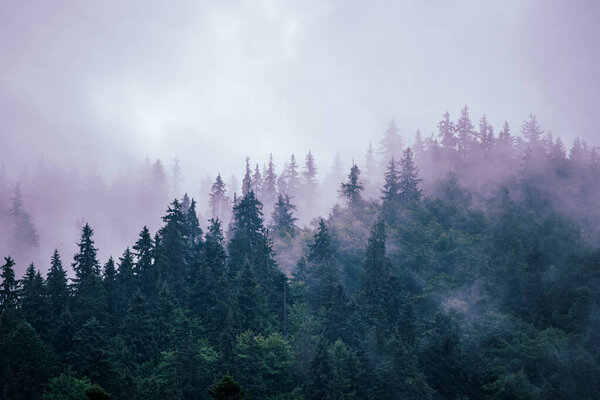 Misty mountain landscape