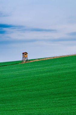 Kırsal ilkbahar manzarası