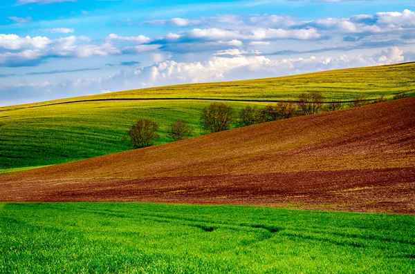 시골의 봄 풍경 — 스톡 사진