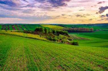 Kırsal ilkbahar manzarası