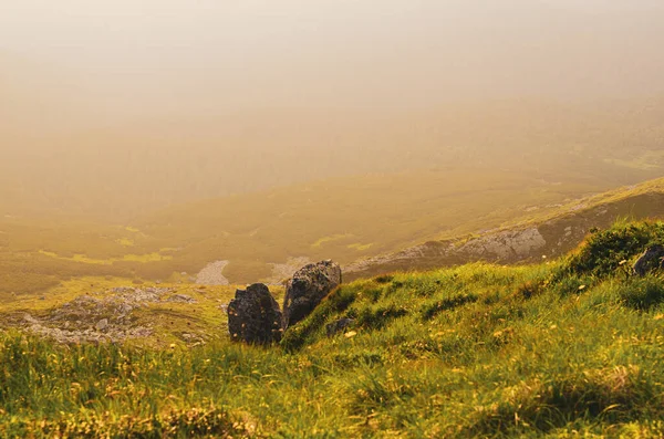 Foggy morning landscape — Stock Photo, Image